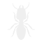 Termite Control