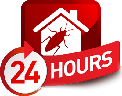 24 Hour Pest Control